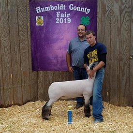 Kampen Club Lambs Winners