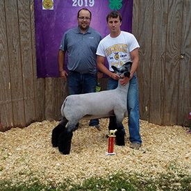 Kampen Club Lambs Winners