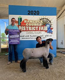Kampen Club Lambs Winners