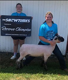 Kampen Club Lambs Winners