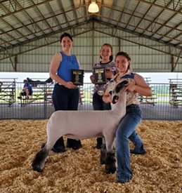 Kampen Club Lambs Winners