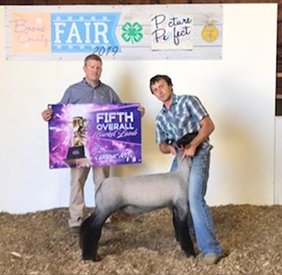 Kampen Club Lambs Winners