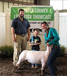 Kampen Club Lambs Winners