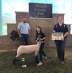 Kampen Club Lambs Winners