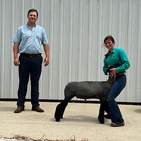 Kampen Club Lambs Winners