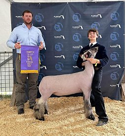 Grand Champion Market Lamb
2024 Florida State Fair