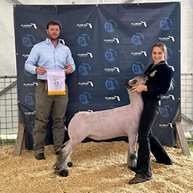 Reserve Champion Market Lamb
2024 Florida State Fair