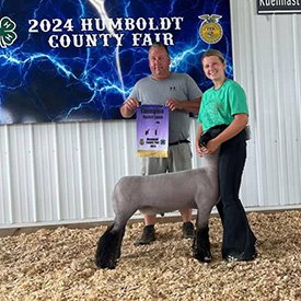 Grand Champion Market Lamb
2024 Humbolt County Fair