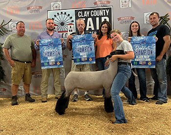 Supreme Champion Market Lamb
2024 Clay County Fair