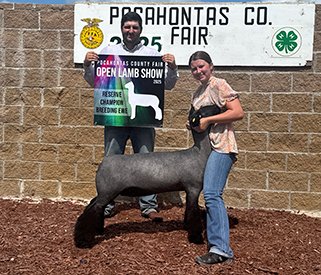 Reserve Champion Breeding Ewe
2025 Pocahontas County Fair Open Show