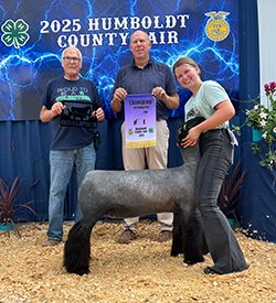 Champion Breeding Ewe
2025 Humboldt County Fair