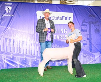 Champion White Face Breeding Ewe
2025 Iowa State Fair