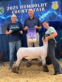 Champion Market Lamb
Humboldt County Fair
Shown by Gabby Kampen
Sired by Italian stallion