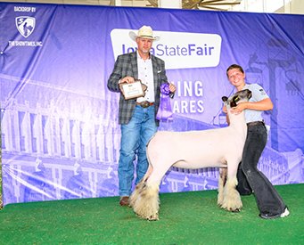 Champion Yearling Ewe
2025 Iowa State Fair