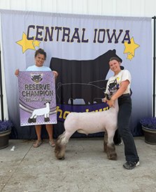 Reserve Champion Market Lamb
2026 Central Iowa Showdown