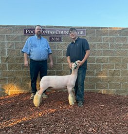 Reserve White Face Market Lamb
2025 Pocahontas County Fair Open Shown