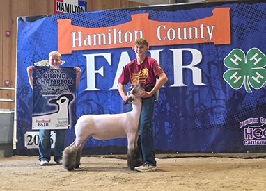 Champion Heavyweight Market Lamb
2026 Hamilton County Fair