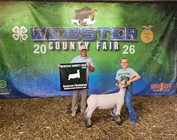 Reserve Middleweight Market Lamb
2026 Webster County Fair