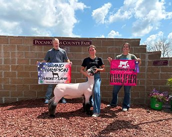 Champion Market Lamb
2026 Pocahontas County Fair
