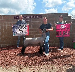 Reserve Breeding Ewe
2026 Pocahontas County Fair